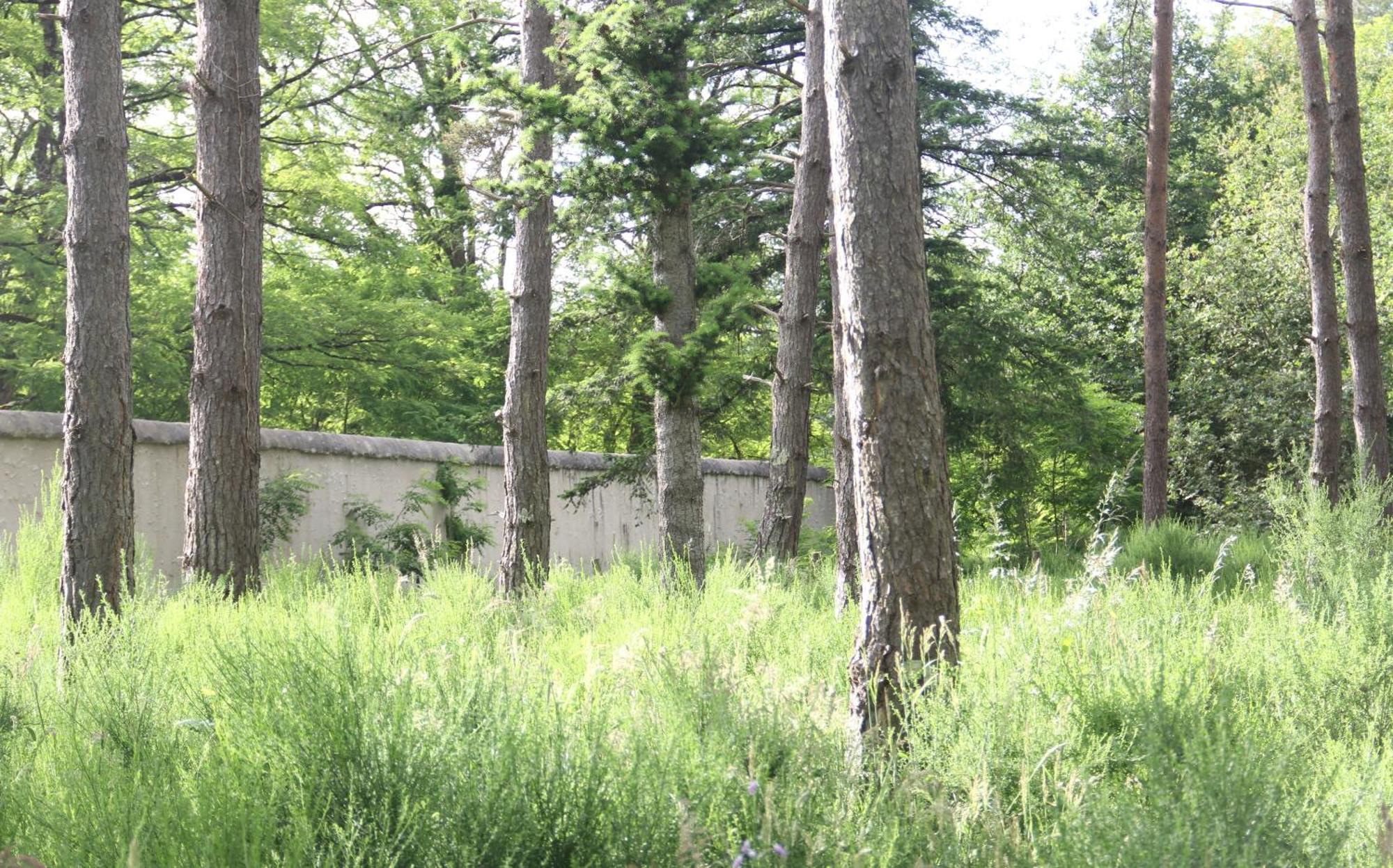 Le Refuge De Chambord Villa Thoury Exterior foto